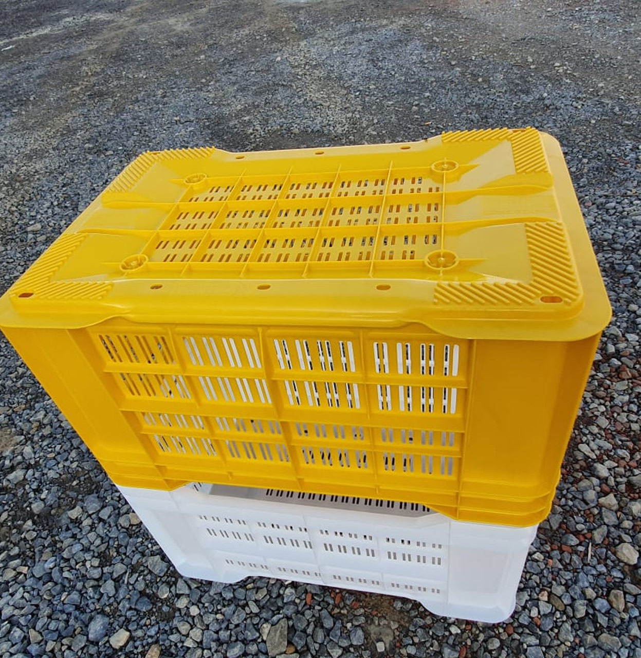 Green fresh Vegetables Crates