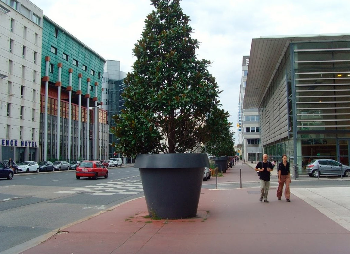 Green fresh jardiniere