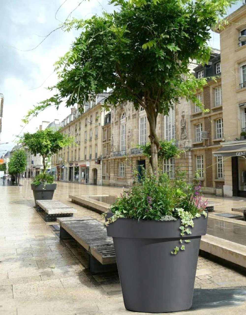 Green fresh jardiniere