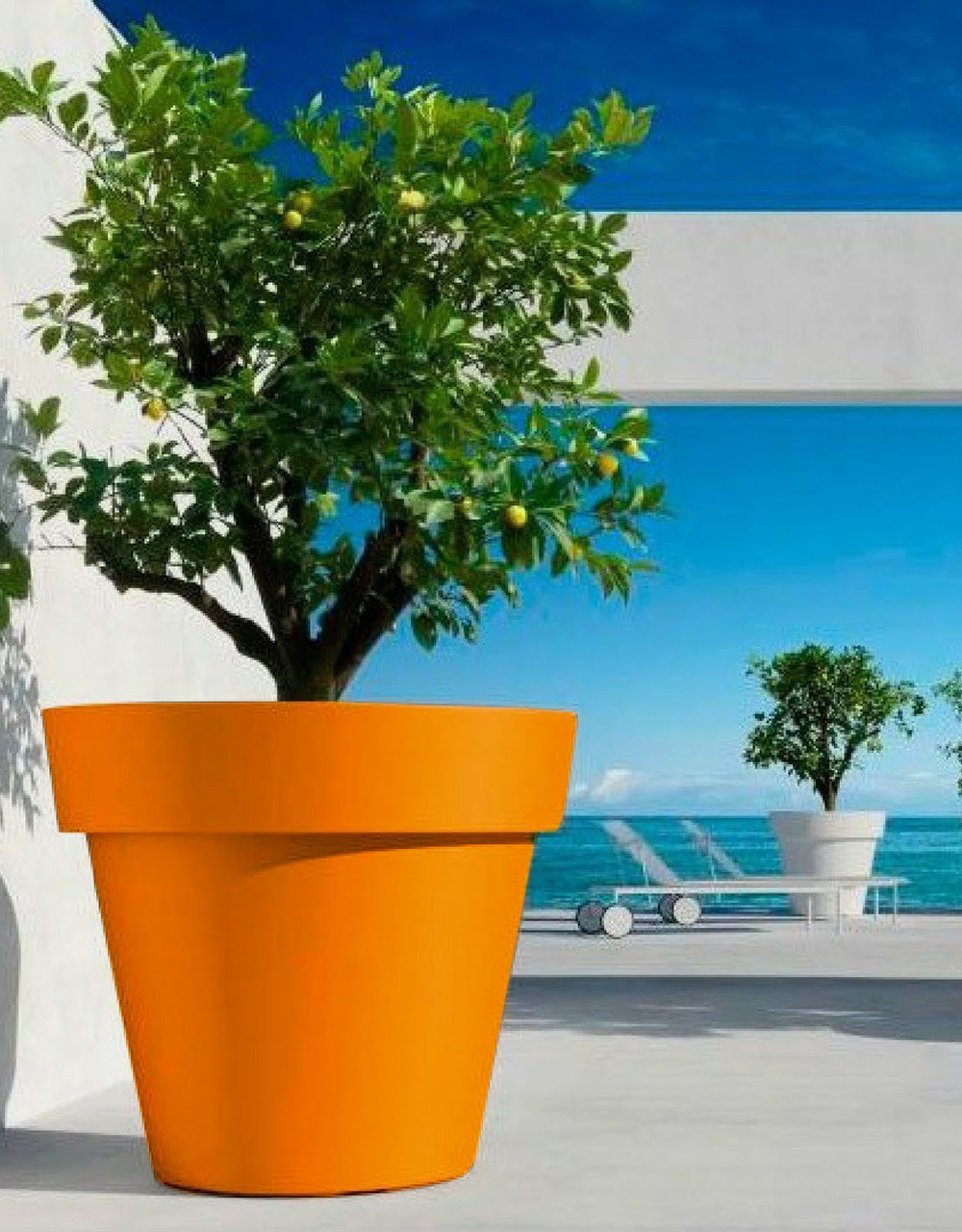 Green fresh jardiniere