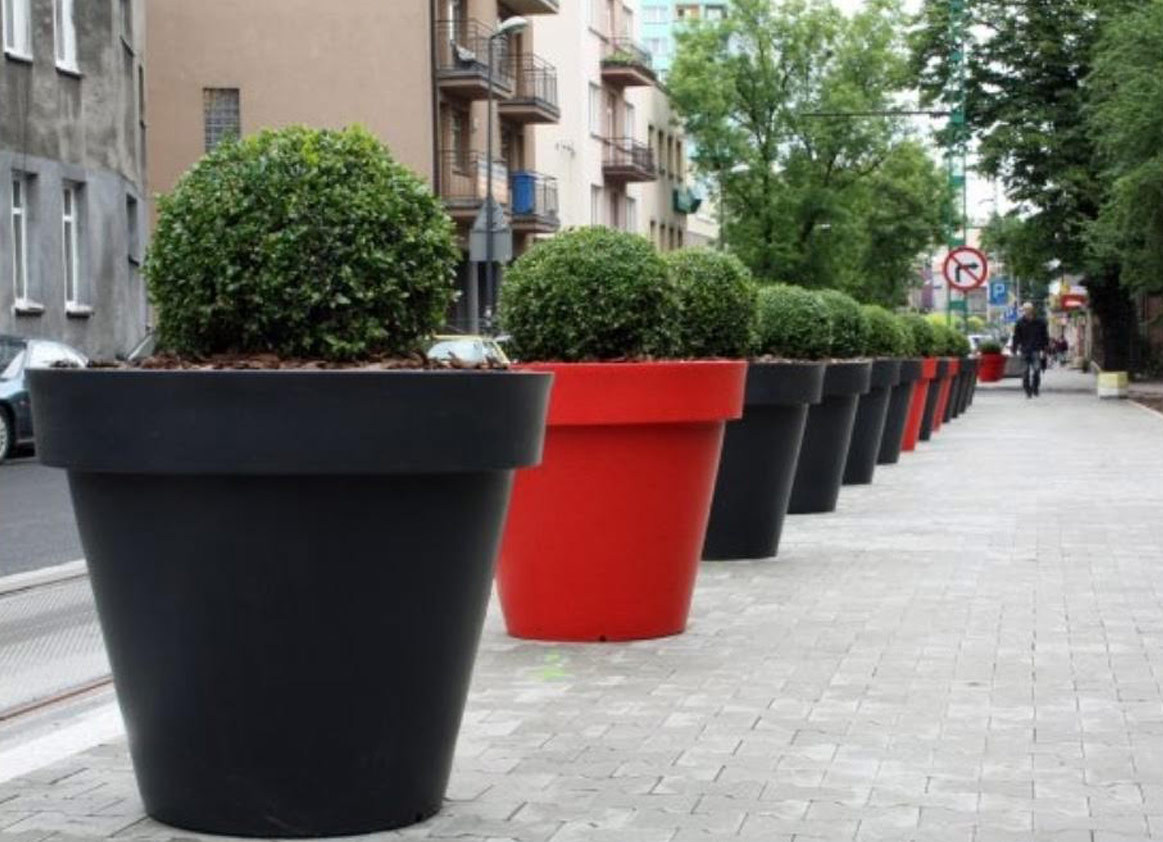 Green fresh jardiniere