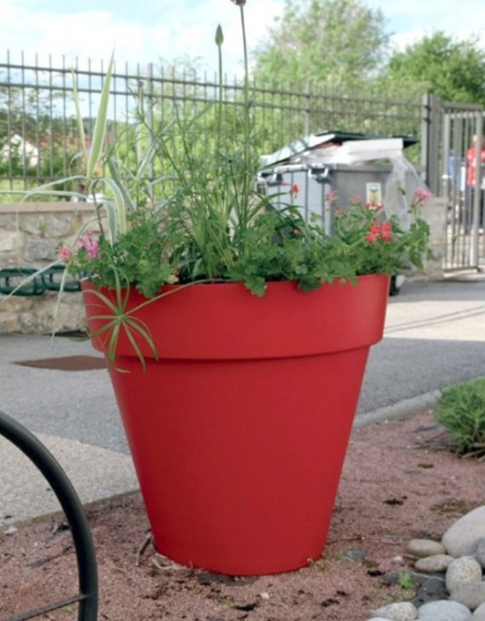 Green fresh jardiniere